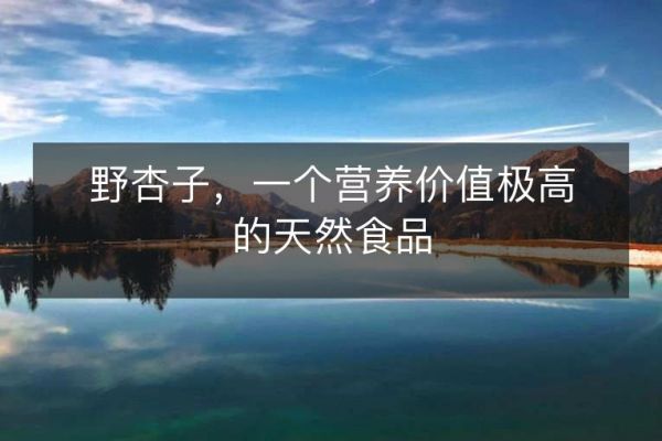 野杏子，一個(gè)營(yíng)養(yǎng)價(jià)值極高的天然食品