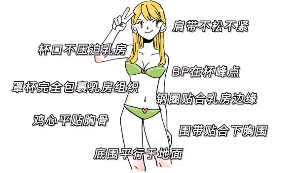 高一女生的胸發(fā)育好了嗎？高一女生的胸好不好看？