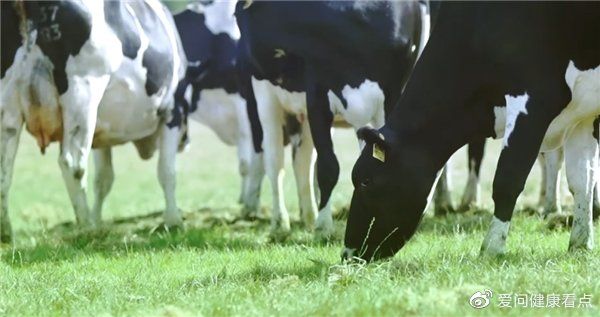 https://r.sinaimg.cn/large/article/af0181e2f18d70634df249de0bc9dbc3