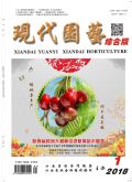 现代园艺