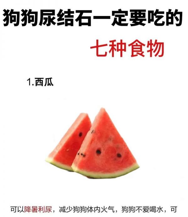 狗狗尿味正常嗎？（如何判斷狗狗尿味是否健康？——了解狗狗的健康狀況）
