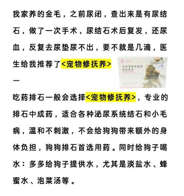 狗狗尿味正常嗎？（如何判斷狗狗尿味是否健康？——了解狗狗的健康狀況）