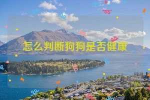 怎么判断狗狗是否健康