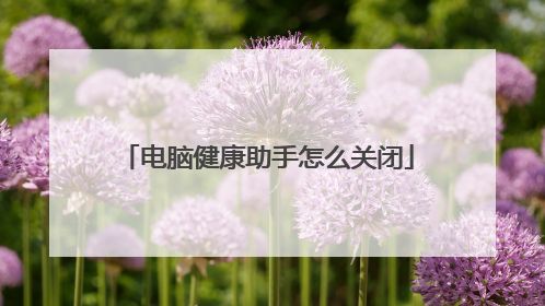 電腦健康助手怎么關閉