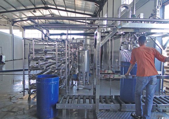 甘肃西红柿果酱加工生产线工艺,番茄加工生产线