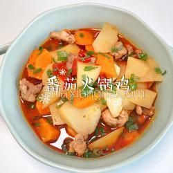 番茄火鍋雞的做法[圖]