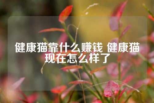 健康猫靠什么赚钱 健康猫现在怎么样了
