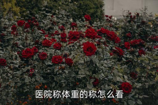 医院称体重的称怎么看