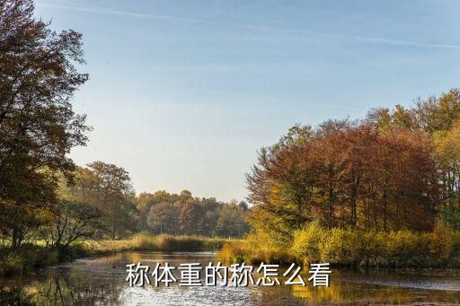 称体重的称怎么看