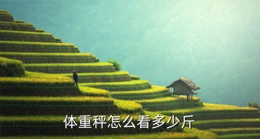 体重秤怎么看多少斤