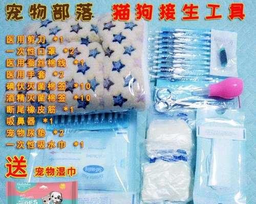 如何安全减脐带——宠物猫咪分娩技巧（详解猫咪分娩的过程及注意事项）