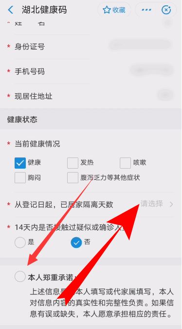 支付寶湖北健康碼詳情分享