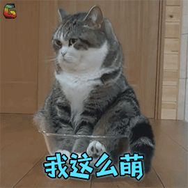 點(diǎn)擊查看高清原圖