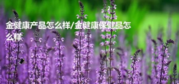 金健康产品怎么样/金健康保健品怎么样