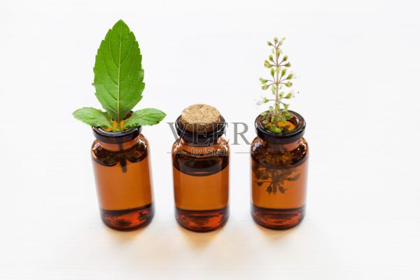 神圣的羅勒精油與葉和花。照片攝影圖片