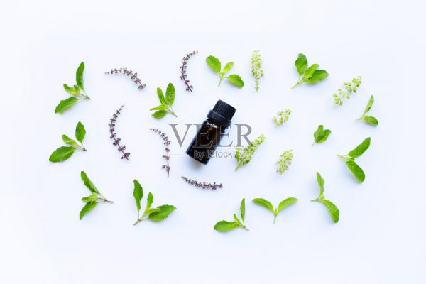 神圣的羅勒精油在玻璃瓶在白色的背景照片攝影圖片