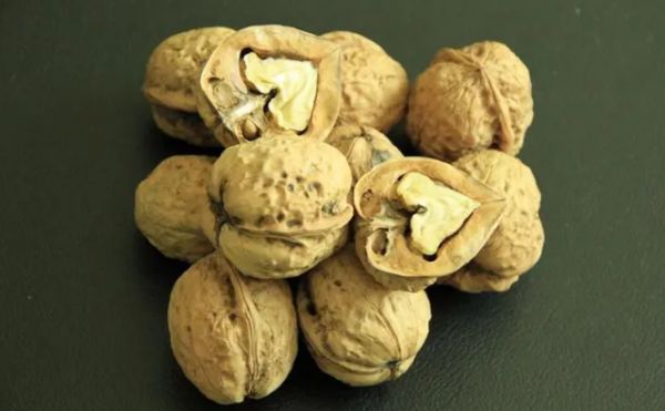 西藏十大土特产排名推荐，送礼倍有面！