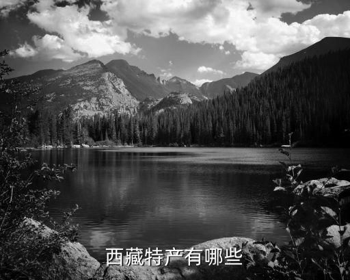 西藏特产有哪些