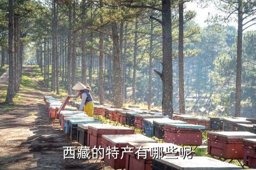 西藏的特产有哪些呢