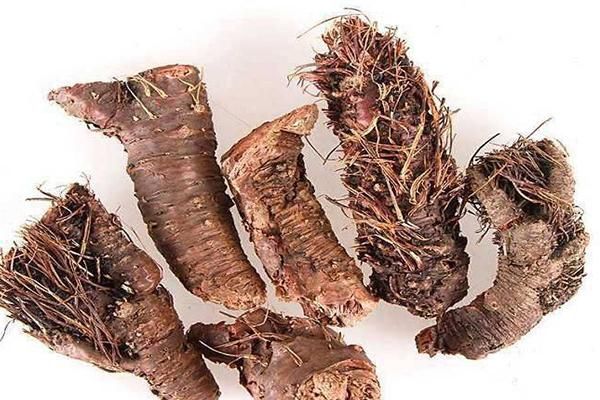 西藏的特產(chǎn)和紀念品有哪些 西藏特產(chǎn)介紹