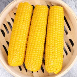 守望金谷 東北甜糯鮮嫩玉米10支 新鮮蔬菜 真空包裝 健康粗糧早餐苞米棒 5袋10支共 1300g