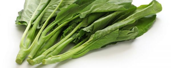 夏季如何養(yǎng)生 夏季吃什么排毒 夏季排毒的方法