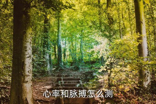 心率和脉搏怎么测