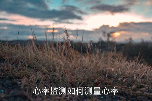 心率监测如何测量心率
