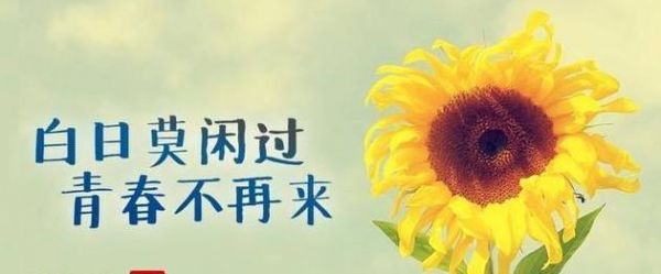 祝長輩身體健康怎么說（用愛和祝福，守護長輩的健康）