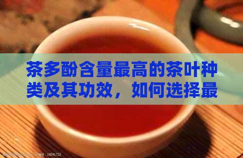 茶多酚含量更高的茶葉種類及其功效，如何選擇最適合的茶品？
