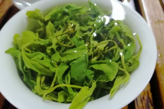 茶多酚一天攝入量，茶多酚用法與用量