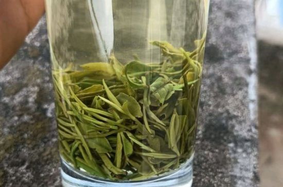 茶多酚一天攝入量，茶多酚用法與用量