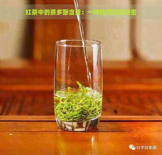 紅茶中的茶多酚含量：一種獨特的健秘密