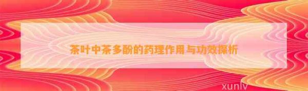 茶葉中茶多酚的藥理作用與功效探析