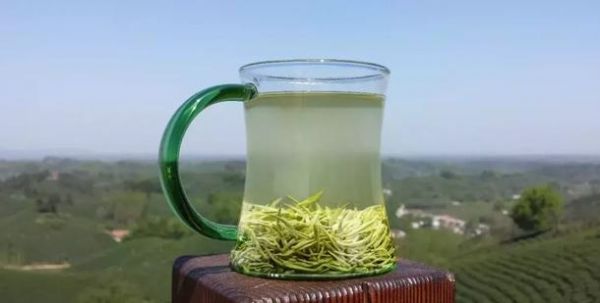 信陽(yáng)毛尖