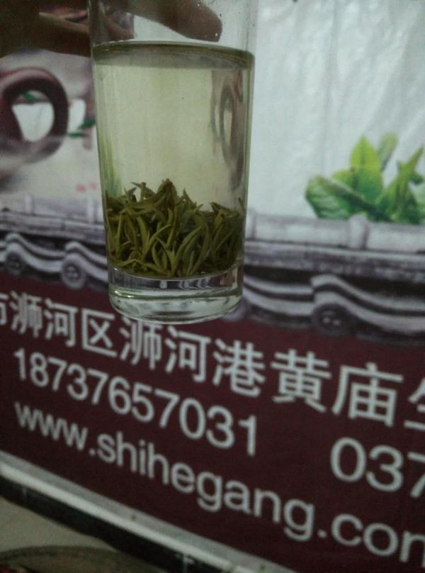 信陽(yáng)毛尖