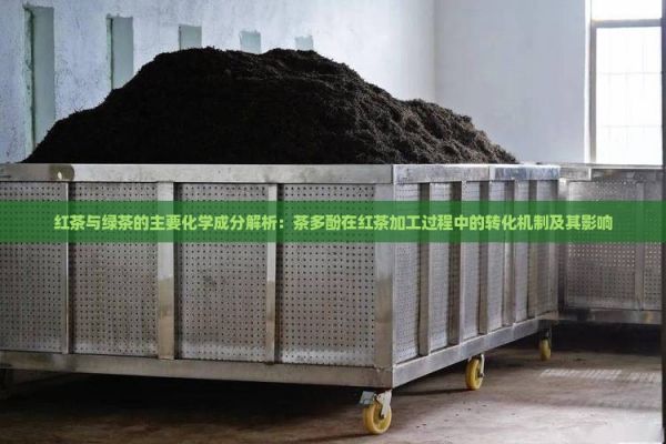 红茶与绿茶的主要化学成分解析：茶多酚在红茶加工过程中的转化机制及其影响