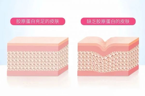 深圳聯(lián)合麗格女性私密呵護(hù)指南丨向內(nèi)探索、生出頑強(qiáng)力量之花