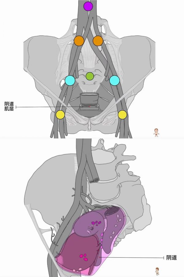 深圳聯(lián)合麗格女性私密呵護(hù)指南丨向內(nèi)探索、生出頑強(qiáng)力量之花