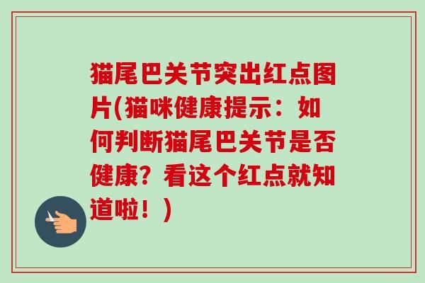 貓尾巴關(guān)節(jié)突出紅點(diǎn)圖片(貓咪健康提示：如何判斷貓尾巴關(guān)節(jié)是否健康？看這個(gè)紅點(diǎn)就知道啦！)