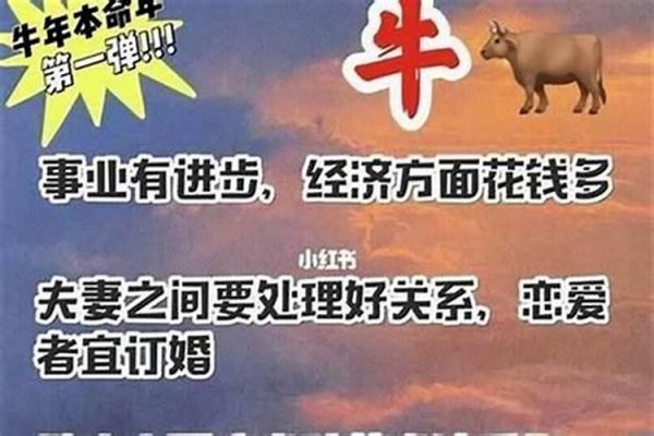 本命年健康問題如何化解？