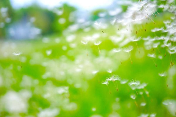 命理透視：探究運(yùn)氣不佳的根源與轉(zhuǎn)運(yùn)之道