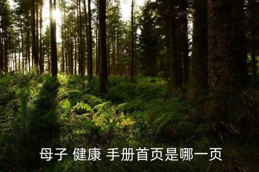  母子 健康 手册首页是哪一页