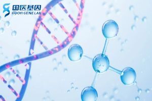 德州24家胎兒親子鑒定機構(gòu)地址排名名單（附2025年正規(guī)機構(gòu)指南）