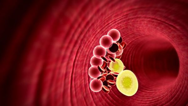 防止沙門氏菌感染的措施