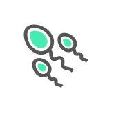 男科學(xué)部