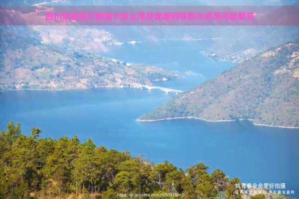四川熊猫旅行健康卡怎么用及健康码领取与使用问题解答