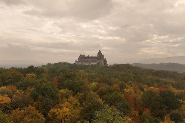 泰康健康有约团体终身重大疾病保险g款