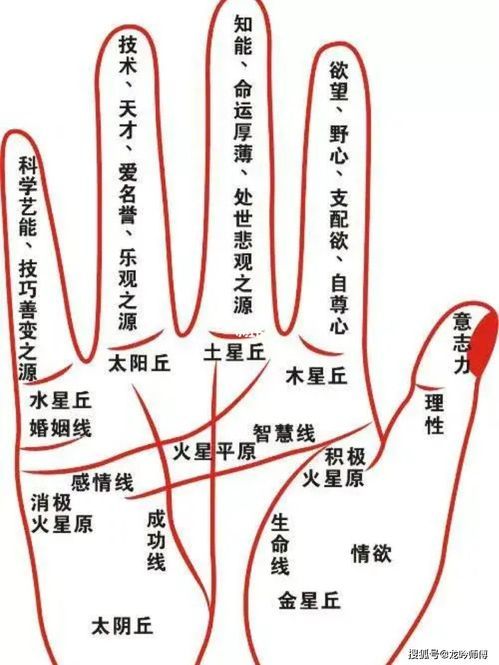 健康線斜插生命線底部