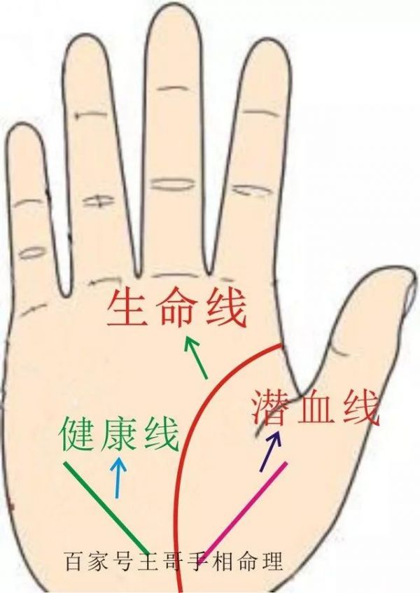大家看掌中“健康线”所提示的身体健康状况